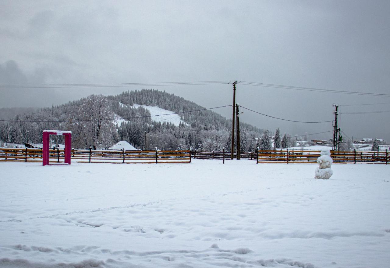 Chalet Delut Botus Экстерьер фото