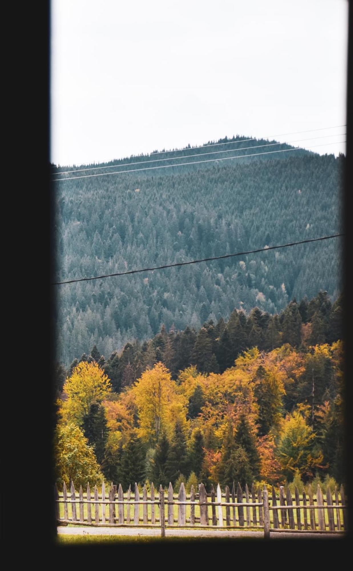 Chalet Delut Botus Экстерьер фото