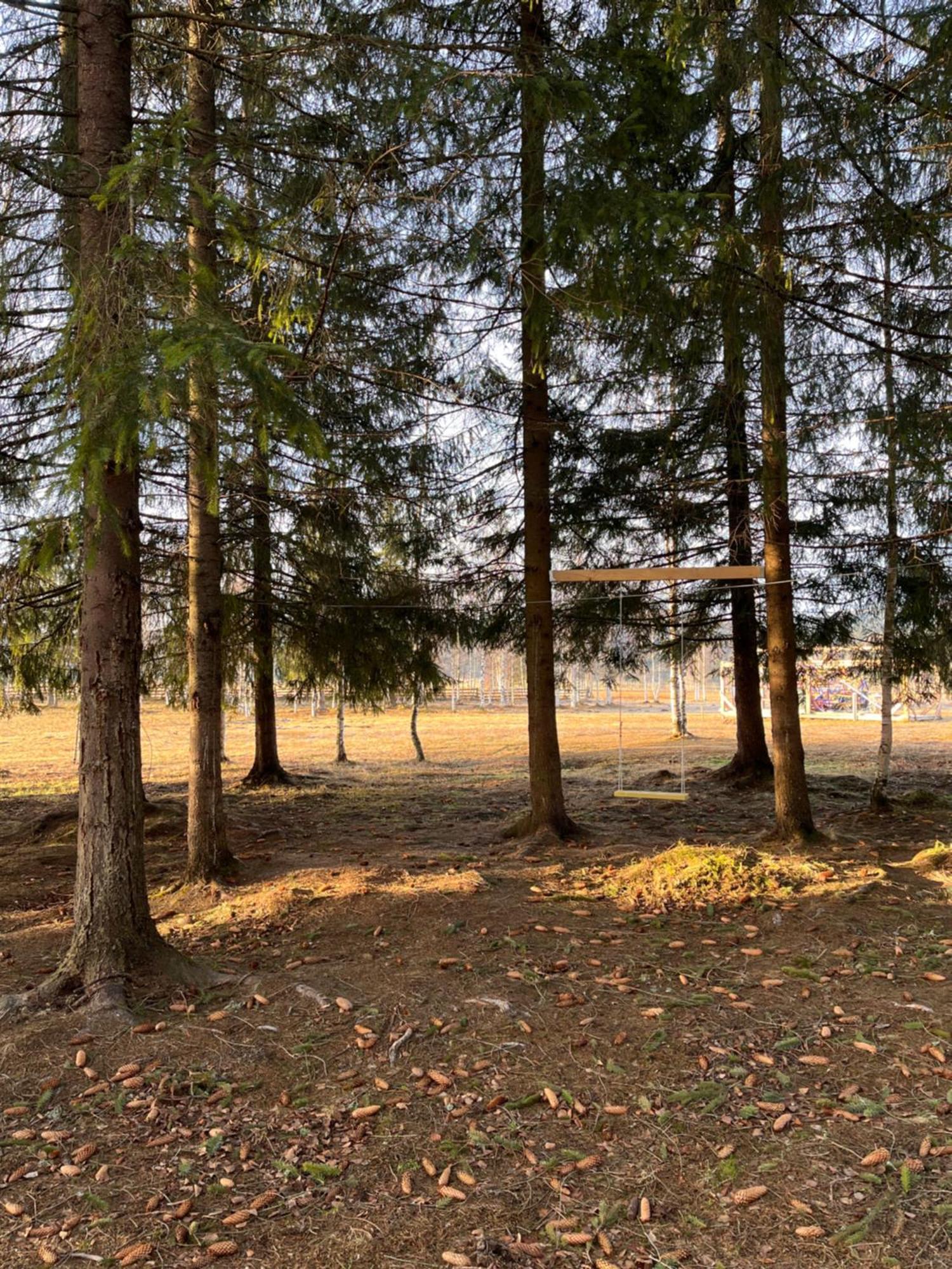 Chalet Delut Botus Экстерьер фото